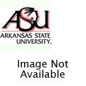 Arkansas State Indians Mallet Golf Putter