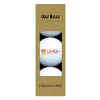 LeHigh Mountain Hawks Golf Balls