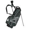 Michigan State Spartans Gridiron College Golf Stand Bag