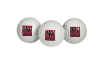New Mexico State Aggies Golf Balls