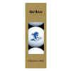 Seton Hall Pirates Golf Balls