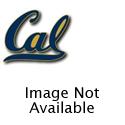 Cal-Berkeley Golden Bears Single Golf Ball
