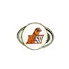 Bowling Green State Falcons Golf Hat Clip